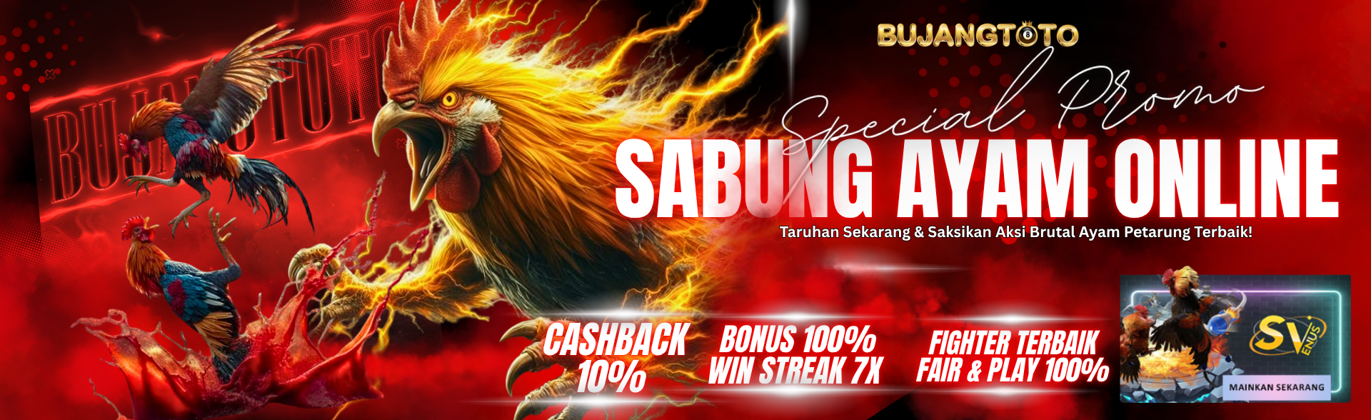 SABUNG AYAM