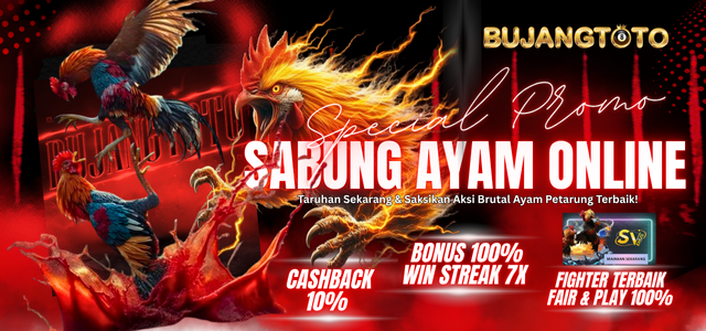 SABUNG AYAM
